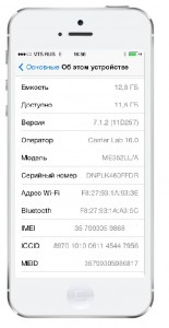 Gevey AIO v30 iphone 5s sprint mts
