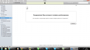 Поздравляем, Ваш телефон разблокирован